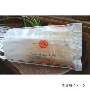 y1_zp OV GA[ 100 pPhD\C 00785081