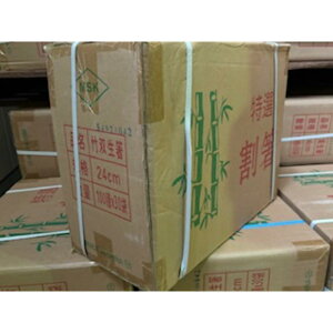 y30_z |o24cm(1) 100V }XL 00815889