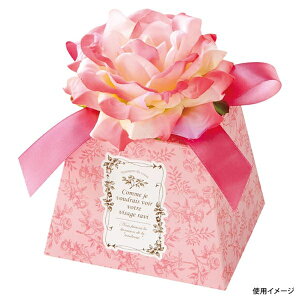 y1_zP[Lg[ ZTP-GM ԕttOgt[MtgBOX/sN-M 10 wbY 00822786