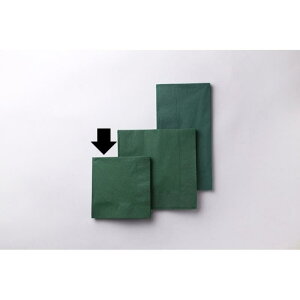 y3000_zX܎ 2P4c܂250mmpJ[ivL(C^AO[) SC-24 IG^ 00763339