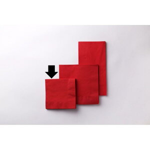 y3000_zX܎ 2P4c܂250mmpJ[ivL(C^Abh) SC-24 IG^ 00826782