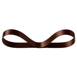 �y1�_�z�M�t�g���� DS1004R ���ʃT�e�����{��BROWN10mm(1��) �w�b�Y 00829254
