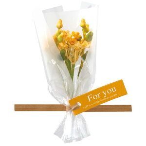 �y1�_�z�����p���� ZPT-BQ5 �t�����[���v�`�u�[�P-5/�C�G���[(10��) �w�b�Y 00829612