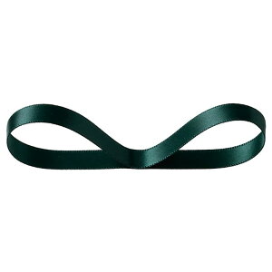 �y1�_�z�M�t�g���� DS1002R ���ʃT�e�����{��DARKGREEN10mm(1��) �w�b�Y 00829769