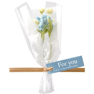 �y1�_�z�����p���� ZPT-BQ6 �t�����[���v�`�u�[�P-6/�u���[(10��) �w�b�Y 00829783