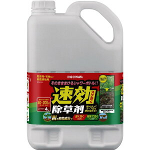 IRIS 110884 ���������� 4L WSJ-4L