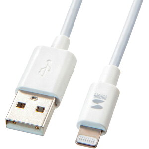 �y���[�J�[����T�z SANWA�@���C�g�j���O�P�[�u���@KB-IPLT10K3W