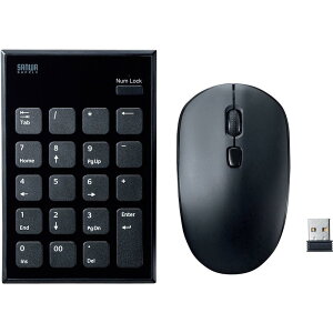 SANWA �É����C�����X�e���L�[�}�E�X�Z�b�g NT-WL23SETBK