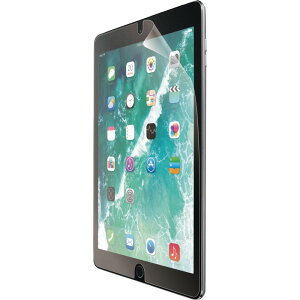 ELECOM�@iPad�@10�D2�C���`�@2019�N���f���p�t�B�����^���˖h�~�@TB-A19RFLA