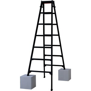 �n�Z�K���@�n�V�S���p�L�k�r���i�u���b�N���[�x���jRYZB�|21a�i10912�j�@RYZB-21A