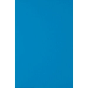 TRUSCO �}�O�l�b�g�V�[�g���L200X300 �� MS-A2-B