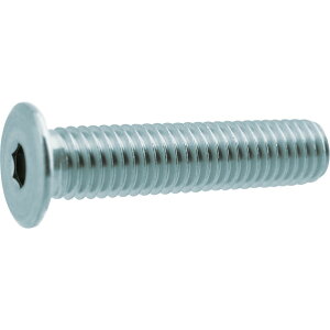�y���[�J�[����T�z TRUSCO�@���ᓪ�L���b�v�{���g�@�X�e�����X�@M6×8�@6�{���@�^�Z�p���t�{���g�iCAP�j�@Y311-0608