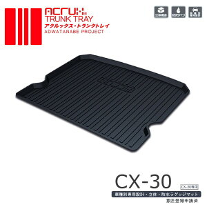 �}�c�_ CX-30��p�g�����N�g���C R1/10���` DM8P/DMEP/DMFP �yMZ05�z�i���Q�b�W�}�b�g ���Q�[�W�g���C �J�[�S�}�b�g �g�����N�}�b�g)���� �h�� �����y�ނ�/���W���[�z PRO-TECTA