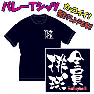 【送料無料（メール便）】バレーボール用Tシャツ/バレーボールに適した熟語（表紙は参考例/全員排球）を…