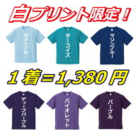 【送料無料（メール便）】半袖ドライTシャツ ( 白プリント10cm角内 )　世界に1着を1着から生産できるオリ…