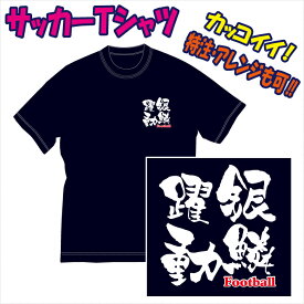 【送料無料（メール便）】サッカー用Tシャツ/サッカーに適した熟語（表紙は参考例/銀鱗躍動）を特徴のある書体でプリントした「Tシャツ」です。色々なアレンジも可能。受注生産のため、御注文後、発送まで1週間前後かかります