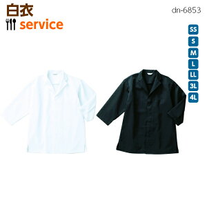 (jp)()sDN-6853t  ocC 䗃{^ ߖ 蕨 HX jtH[ t[hSS`3L