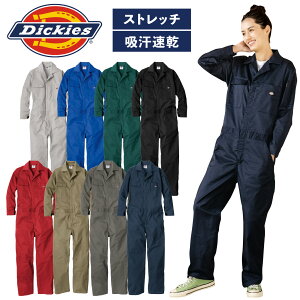 Dickies Xgb`ciM  D-676 Xgb` y UVJbg Xgb` t ƒ Y fB[X