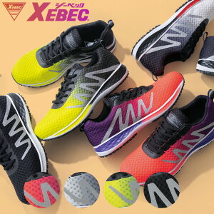 85151 C.ZONE ZteBV[Y22.0cm`30.0cmijpjXEBEC c ƌC Ռz R hL y ʋC bV NbV  SC fB[X Y jZbNX