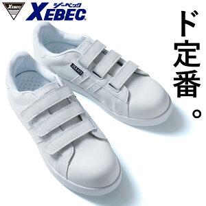 vXj[J[ 85411 22.0cm-30.0cmXEBEC }WbNe[v c [Jbg Vv   R hL  Ռz ϖ S   jp