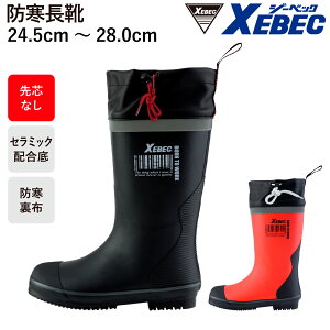 hC 85731 H~ XEBEC Y fB[X