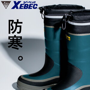 hC 8578125.0cm-28.5cmXEBEC ciV E^w\ h AEghA n ƌ  W[