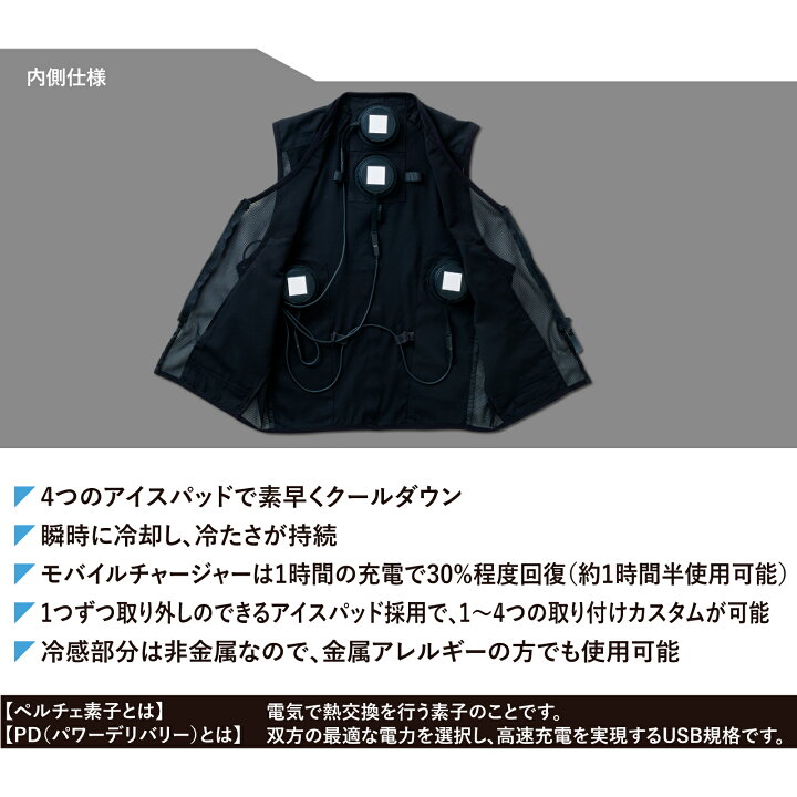 楽天市場】アイスパッドベストセット 13109 冷却 アイスパッド 