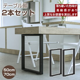 【7月15日！ポイント10倍！】テーブル脚 テーブル 脚 パーツ テーブルキッツ用 テーブル 脚のみ DIY アイアン脚 鉄脚 黒 ブラック 頑丈 50cm 70cm アジャスター付き ネジ付属 2本セット
