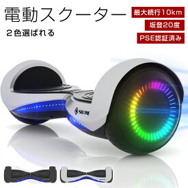 【プロテクター付き】電動スクーター 立ち乗り二輪車 電動バランススクーター 電動スマートスクーター セグウェイ 電動キックボード セントラルシステム 6.5インチ 子供用 大人用 ラッピング選択可能 1年修理保証