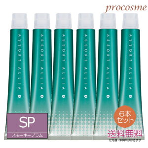 �y6�{�Z�b�g�z�f�~ �A�\�[�g �A���A S �X���[�L�[�v���� 8/7SP 1�� 80g×6�{