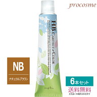 【同色6本セット】ナプラ HBケアテクトカラー グレイファッション ナチュラルブラウン 第1剤 80g×6本｜…