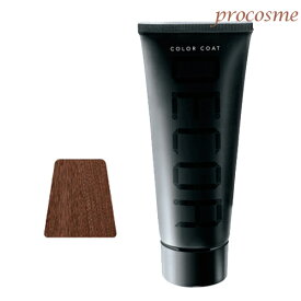 イリヤ カラーコートデコレ D-L2 ライトマロンブラウン 160g｜ヘアマニキュア 業務用 ヘアカラー サロン専売 プロ用