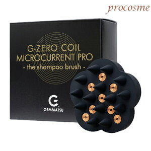 G-ZERO RC }CNJg v Vv[uVbuV }bT[W XJvPA