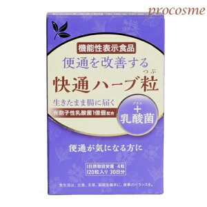 i`EF[u ʃn[u +_ 120b@\\Hi ֒ʉP