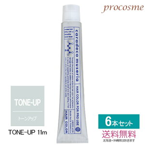 yF6{Zbgz쐻 iJm LfR ~[A TONE-UP 11m g[Abv11 1 80g×6{bAJJ[ 