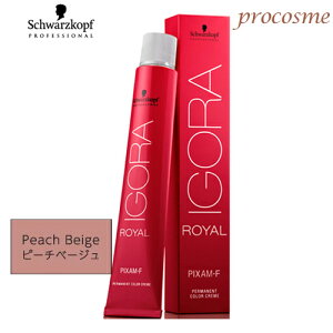 VcRt CS C sNT-F PBe8t s[`x[W eBgVF[h 1 80gy䂤pPz