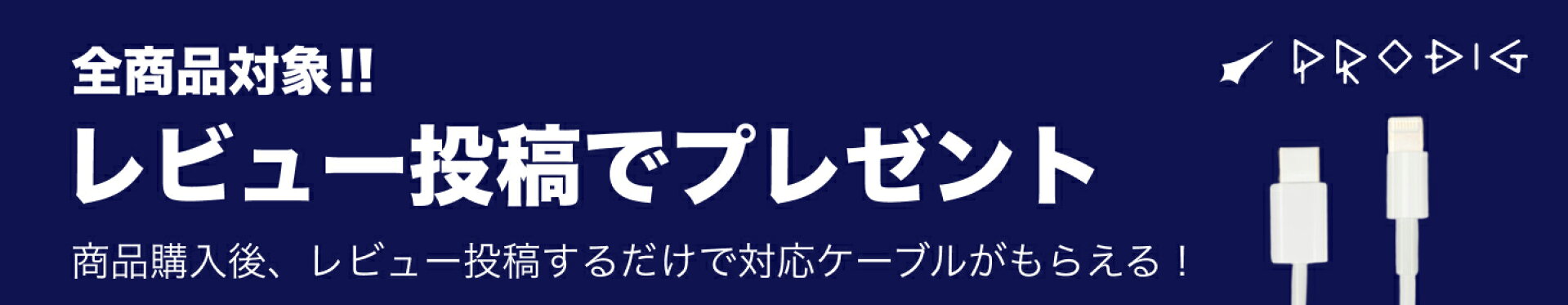 レビュー投稿でケーブルプレゼント