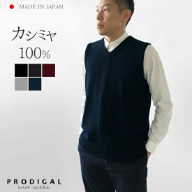 PRODIGAL カシミヤ100％メンズVネックベスト M L LL 日本製 ニット メンズ 袖なし カシミア 冬 秋冬 無地 シンプル 男性 五泉ニット 送料無料