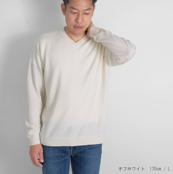 楽天市場 カシミヤ 100 メンズ セーター Vネック 日本製 M L Ll ニット カシミア 冬 秋冬 無地 シンプル 長袖 五泉ニット プロディガル カシミヤ100 メンズvネックセーター プロディガル ニット 雑貨