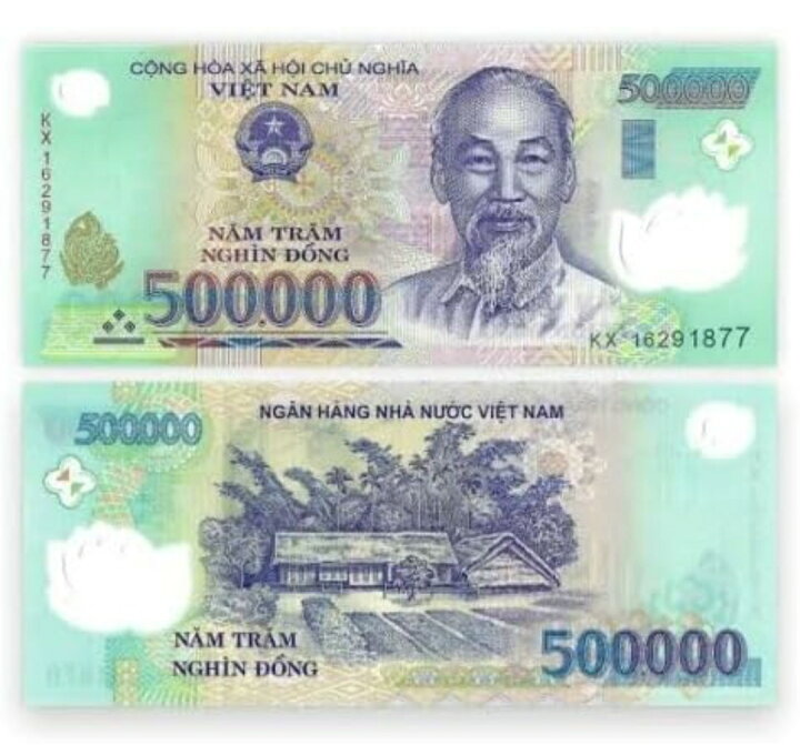 楽天市場】【品質保証書付】ベトナム ドン 50万ドン 5枚 ベトナムドン  