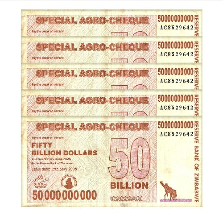ジンバブエドル アグロチェック 500億ドル AA100枚 紙幣 