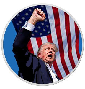 �y����99.9���z�V���o�[ 1�I���X �g�����v ��� 1�I���X �g�����v FIGHT! ���� �R�C�� ��R�C�� �V���o�[ �R�C�� �V�i �i��99.9�� 31.1g �L�O�R�C�� �J���[�R�C�� �R�C���J�v�Z������ �ۏ؏��t