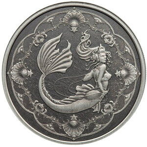 y99.9zRCupVtBbN }[Ch AeB[Nv1IX   31.1g 2022N RC AeB[N LORC TA Vo[ RCJvZt iۏ؏t