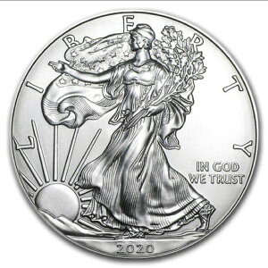 2020N RC1IX AJ C[O EH[LOoeB Vo[RC 1IX  AeB[NRC i99.9 31.1g Vo[ RCJvZ iۏ؏t