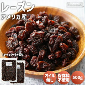 レーズン ノンオイル 500g 2袋セット ( 1kg ) アメリカ産 無添加 無着色 無香料 レーズンオイル無し 干しブドウ ノンオイルレーズン 干し葡萄 製パン 製菓 パン作り トッピング お菓子作り ヨーグルト グラノーラ 高品質 ビタミン 美容 健康 防災食品 非常食 添加物不使用