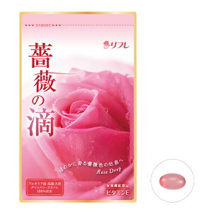 L\h o tOX G`Pbg t@[YTv@KN̓H(΂̂) 162(1) L o ރo f fIhg Tv I[PA jICyN[|