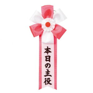 �p�[�e�B�[�O�b�Y �L�� �{���̎�� 3002 �p�[�e�B�[�̕K���i�y���[���֑Ή��z