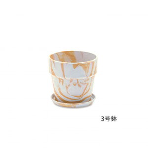 A[ovc|bg ~N/ 81091 yʂAvȃA[ovc|bg