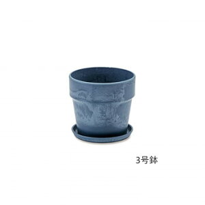 A[ovc|bg u[x[ 81099 yʂAvȃA[ovc|bg