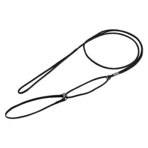 vpP[h V[hbOp pV[g}[`Q[h S  a4~ׂ̍ċAȂ߂炩ȎG肪!